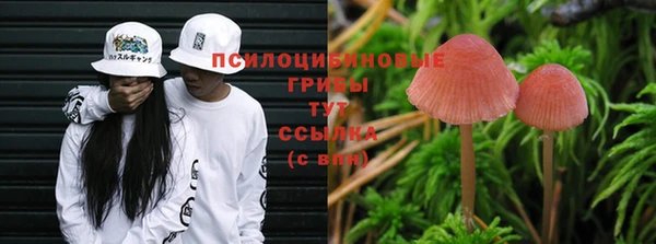 первитин Переславль-Залесский