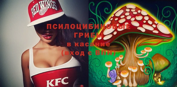 индика Пересвет