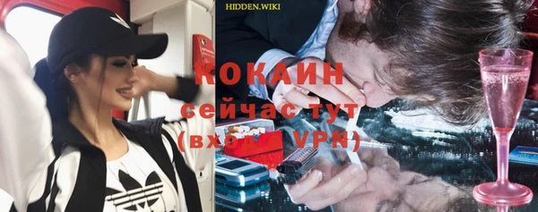 индика Пересвет