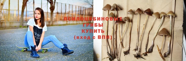 индика Пересвет